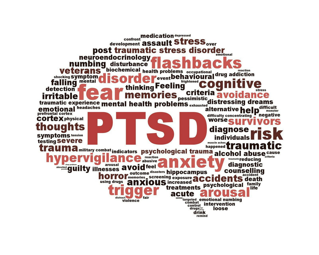 PTSD awareness word cloud featuring symptoms of Post-Traumatic Stress Disorder including anxiety, fear, flashbacks, hypervigilance, trauma, and mental health challenges faced by veterans and survivors.
