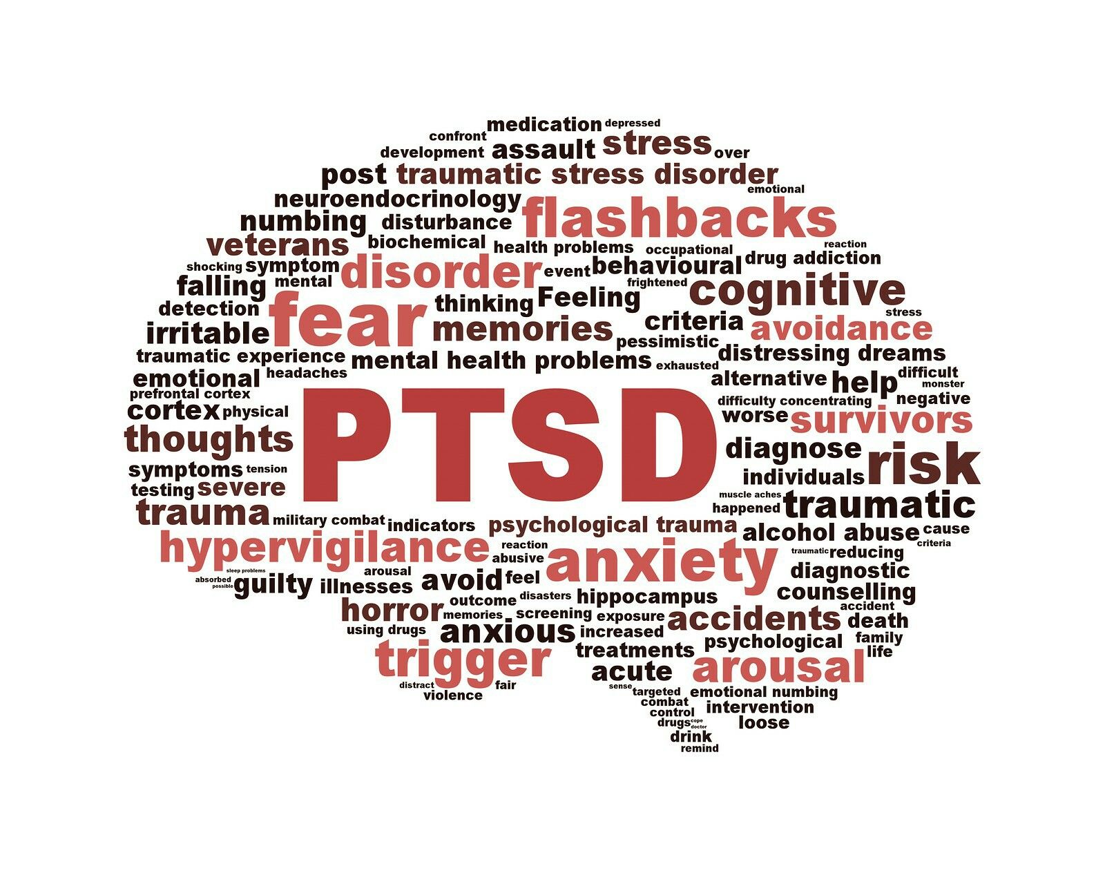 PTSD awareness word cloud featuring symptoms of Post-Traumatic Stress Disorder including anxiety, fear, flashbacks, hypervigilance, trauma, and mental health challenges faced by veterans and survivors.